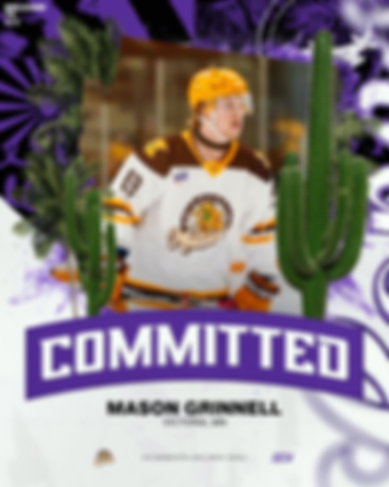 Image post by @lopeshockey on Instagram