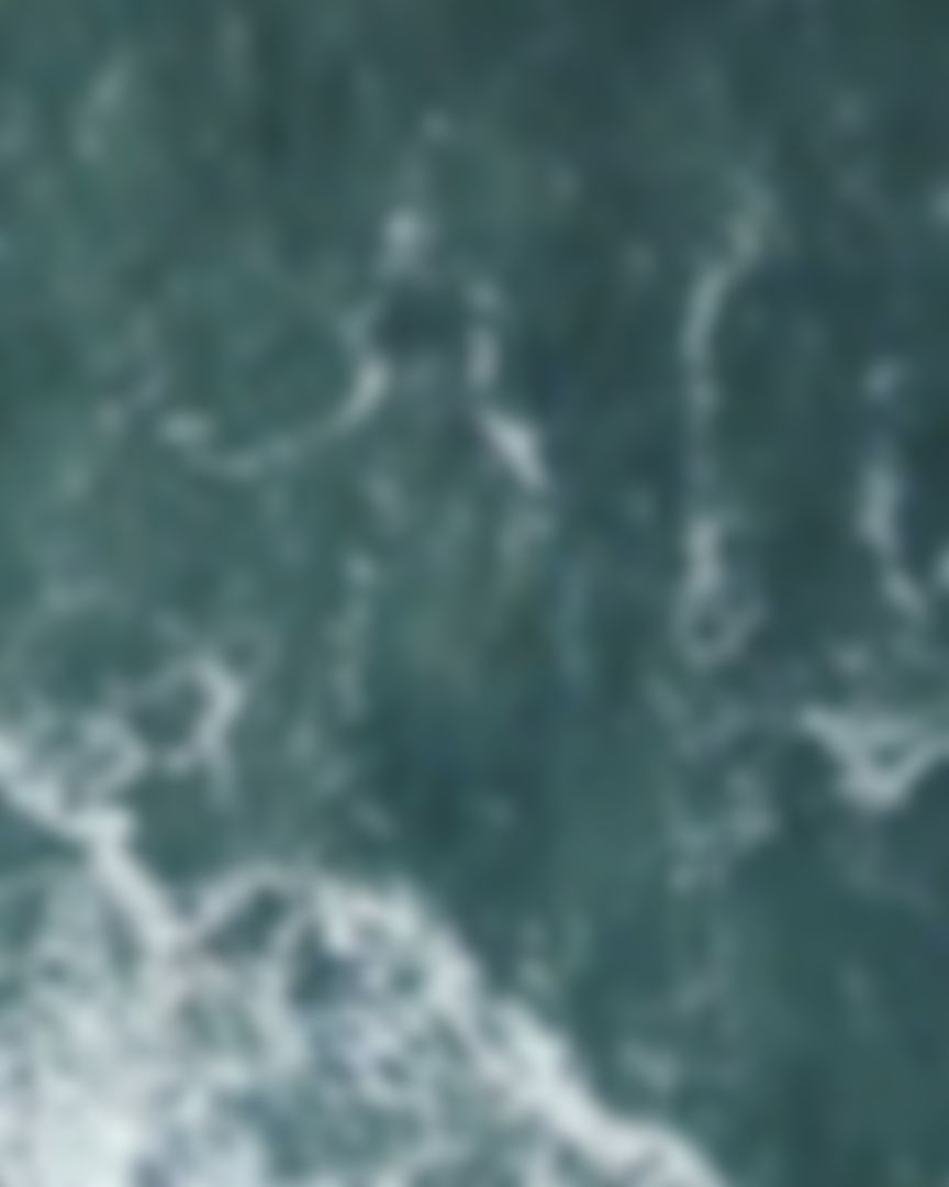 Video post by @brianducoffe on Twitter