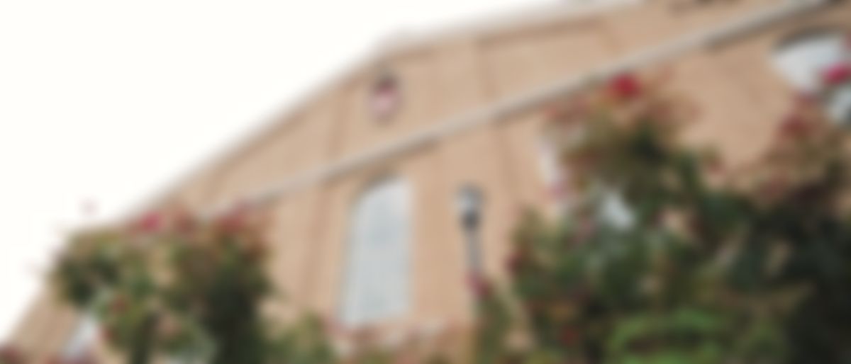 Video post by @BadgerVB on Twitter