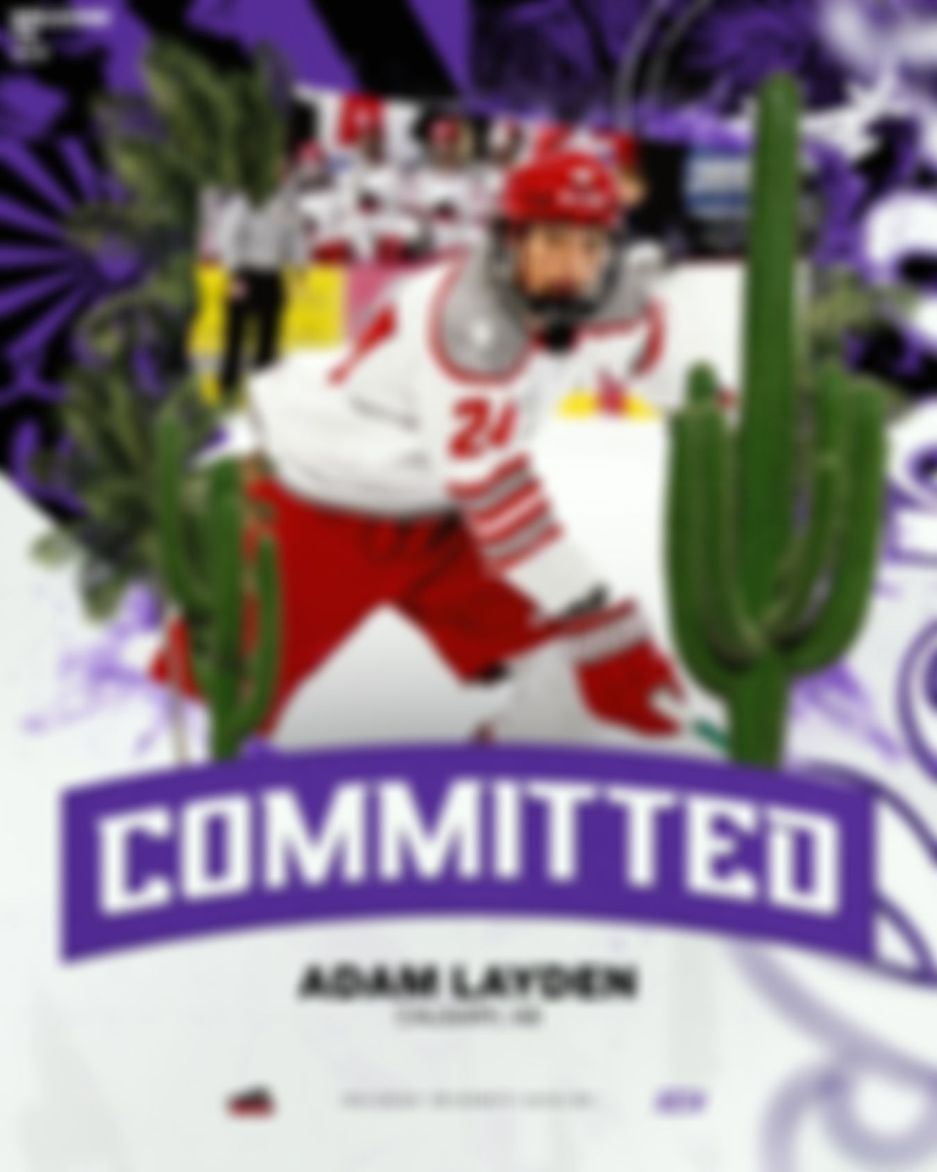 Image post by @lopeshockey on Instagram
