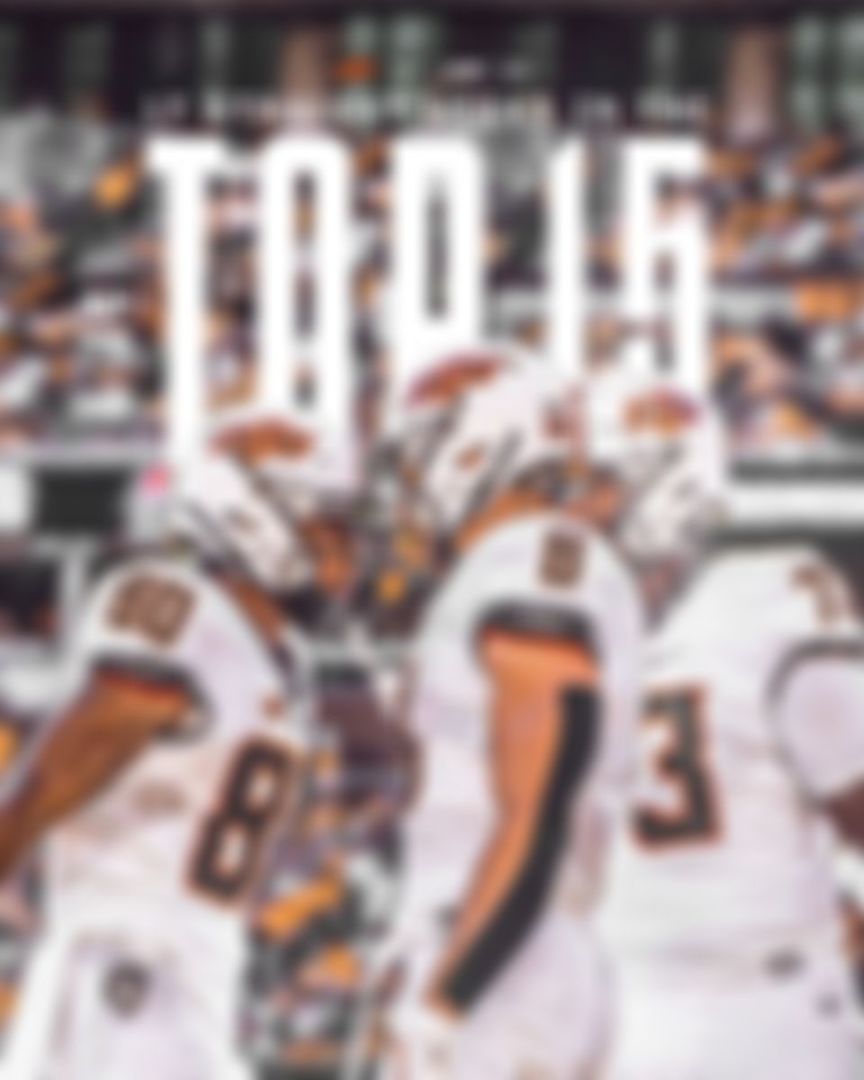 Image post by @kasey_dunn on Twitter