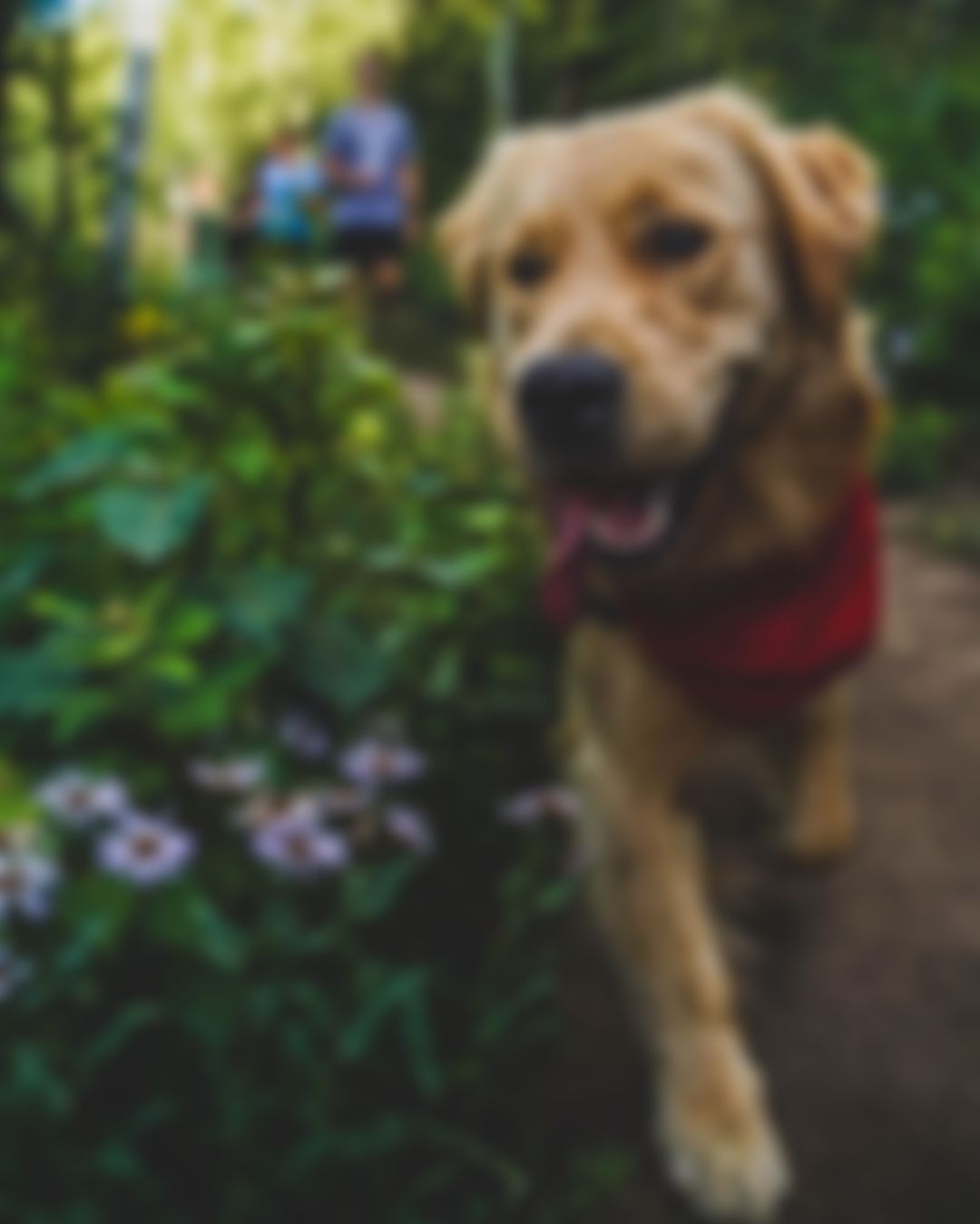 Image post by @arrowheadco on Instagram