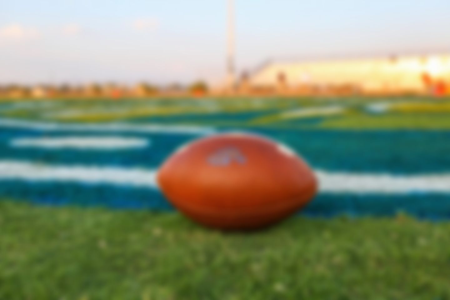 Image post by @ariannagrainey on Instagram