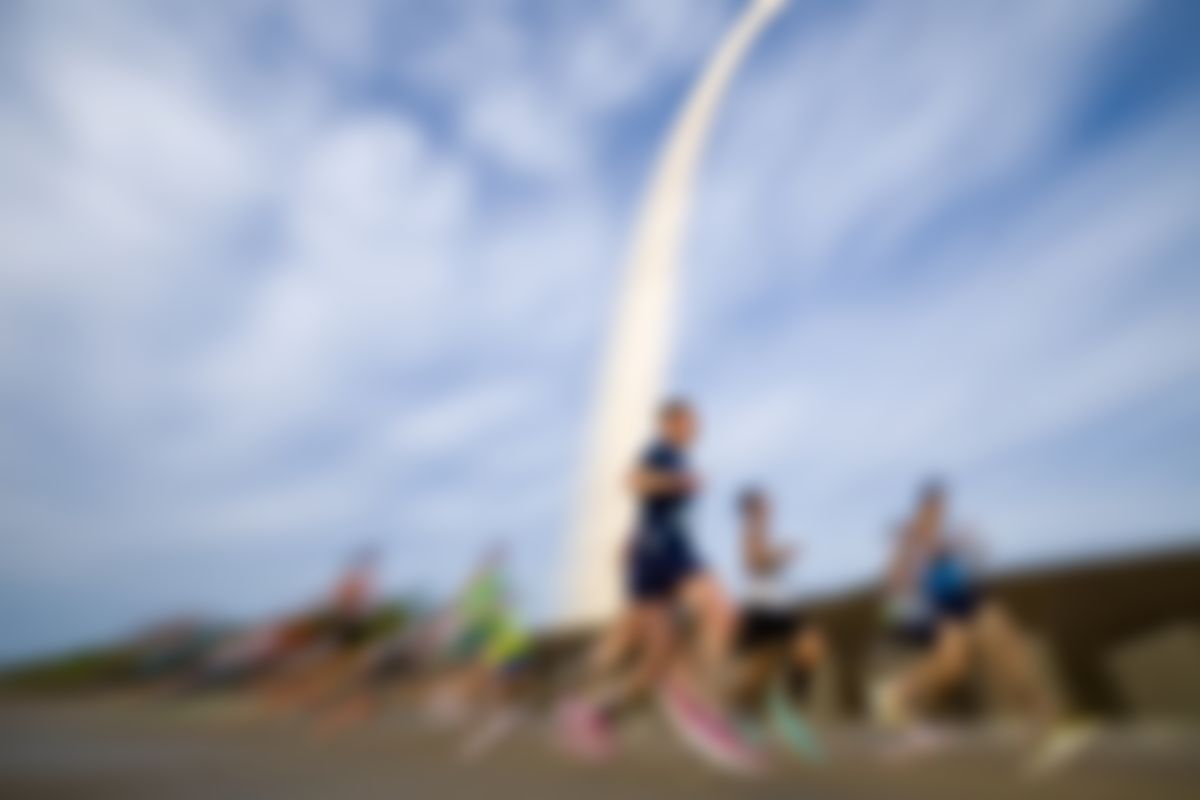 Image post by @Shelly_Doge on Twitter