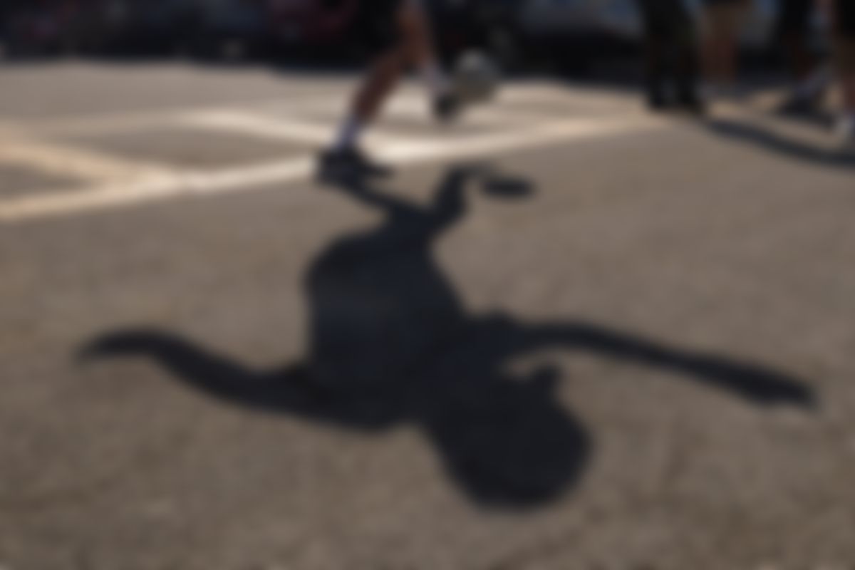 Image post by @Shelly_Doge on Twitter