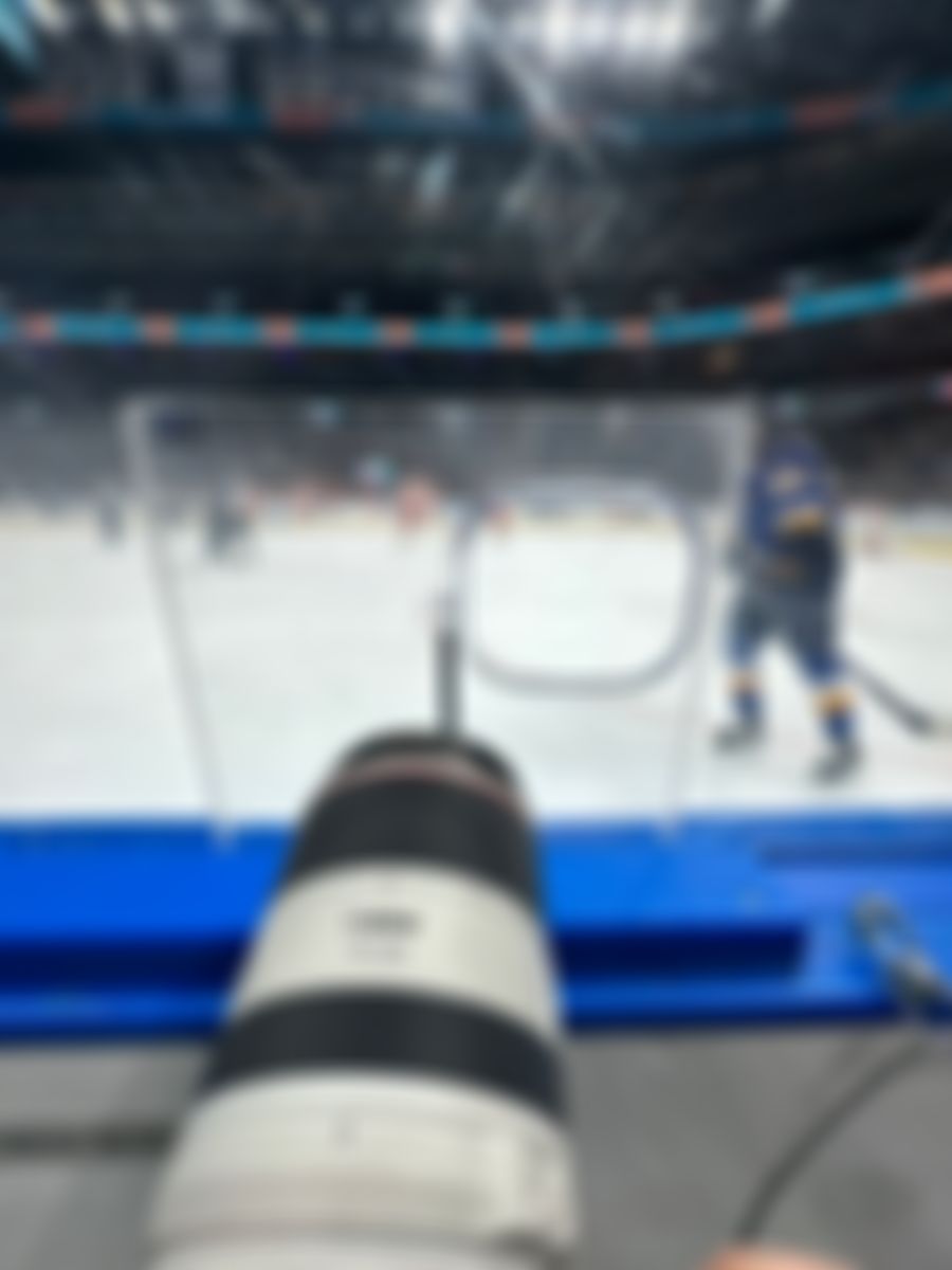 Image post by @Shelly_Doge on Twitter