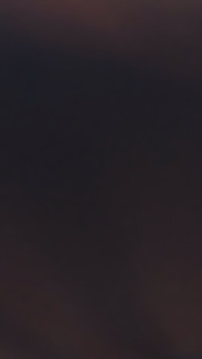 Video post by @RhodyWBB on Twitter