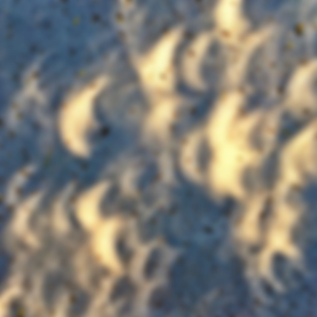 Image post by @ariannagrainey on Instagram