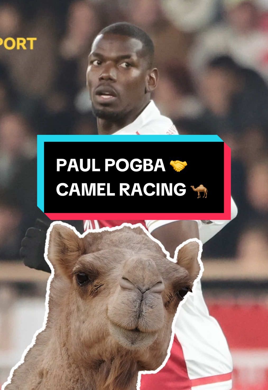 Video post by @bbcsport on TikTok