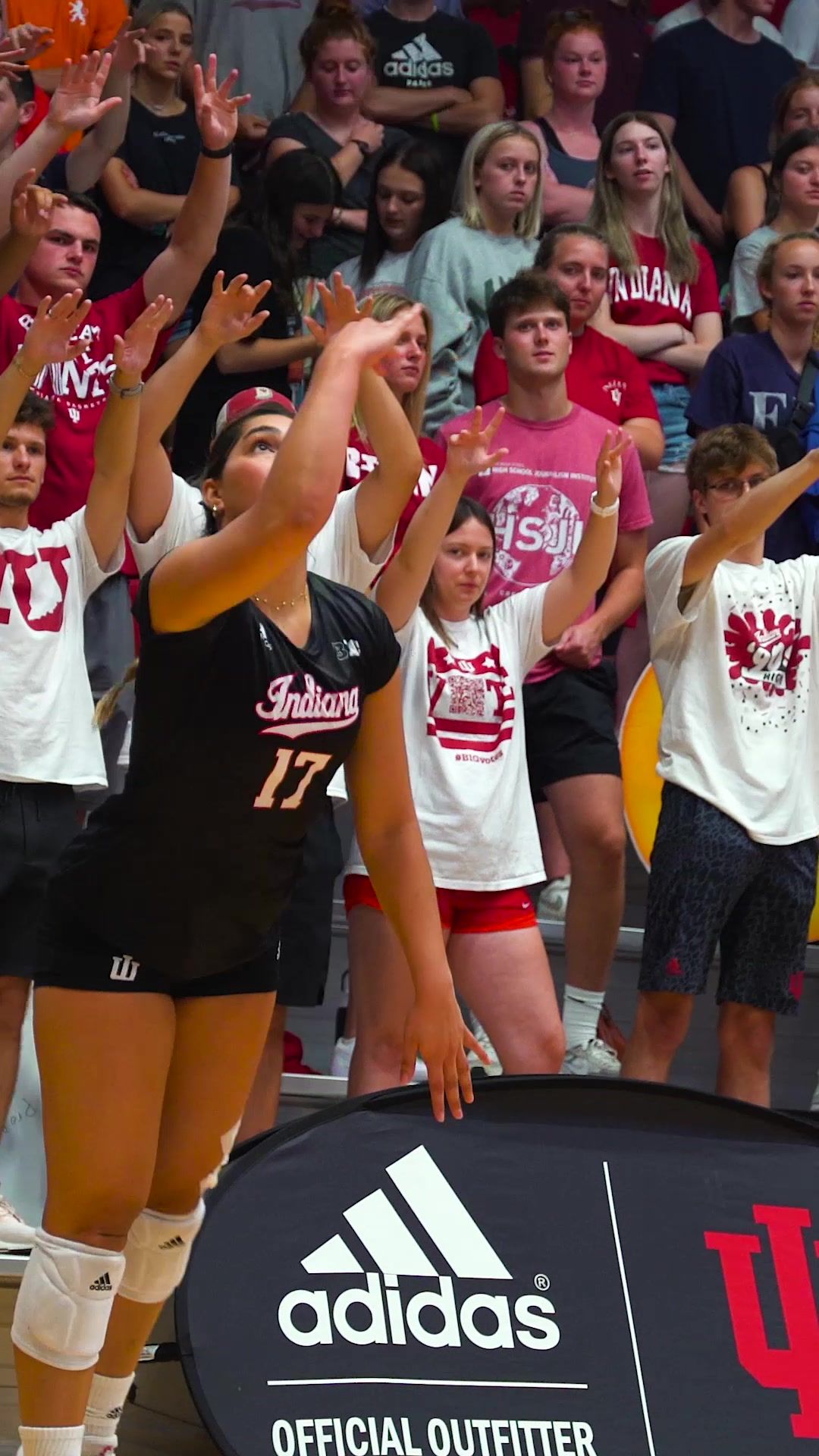 Video post by @indianavb on TikTok