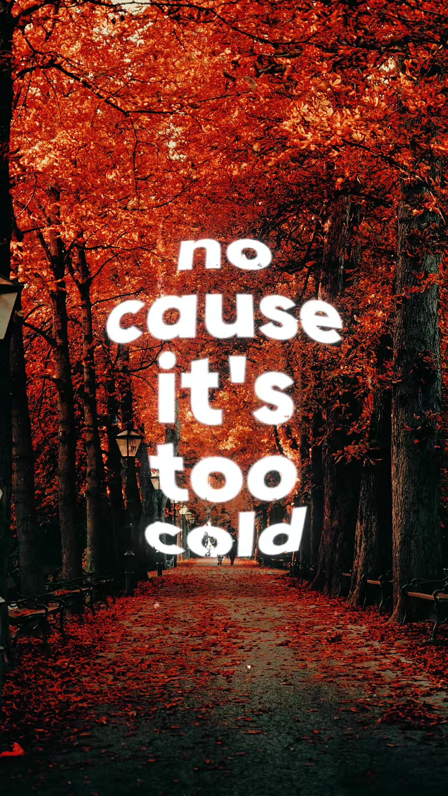 Video post by @7evin7ins_vault on TikTok