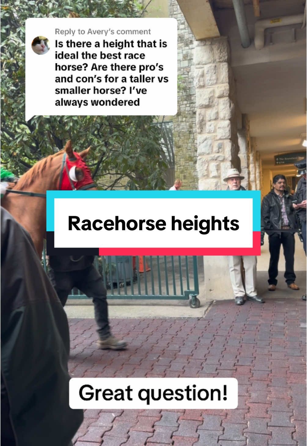 Video post by @spendthriftfarm on TikTok