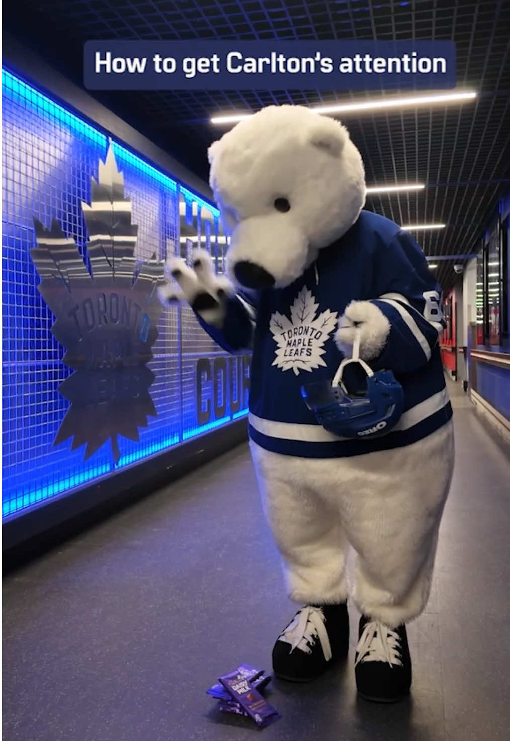 Video post by @mapleleafs on TikTok