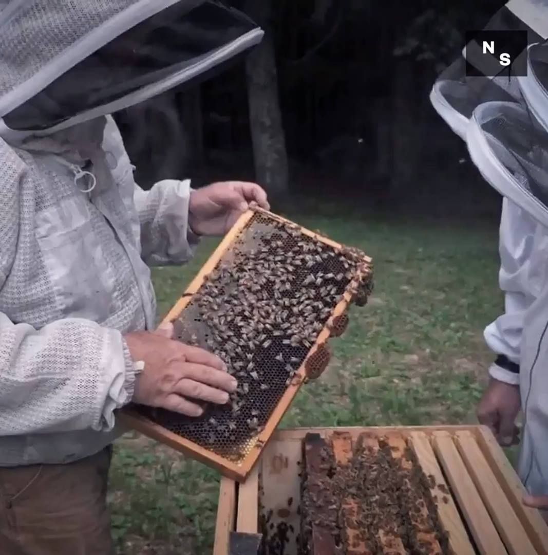 Video post by @nationswell on Facebook