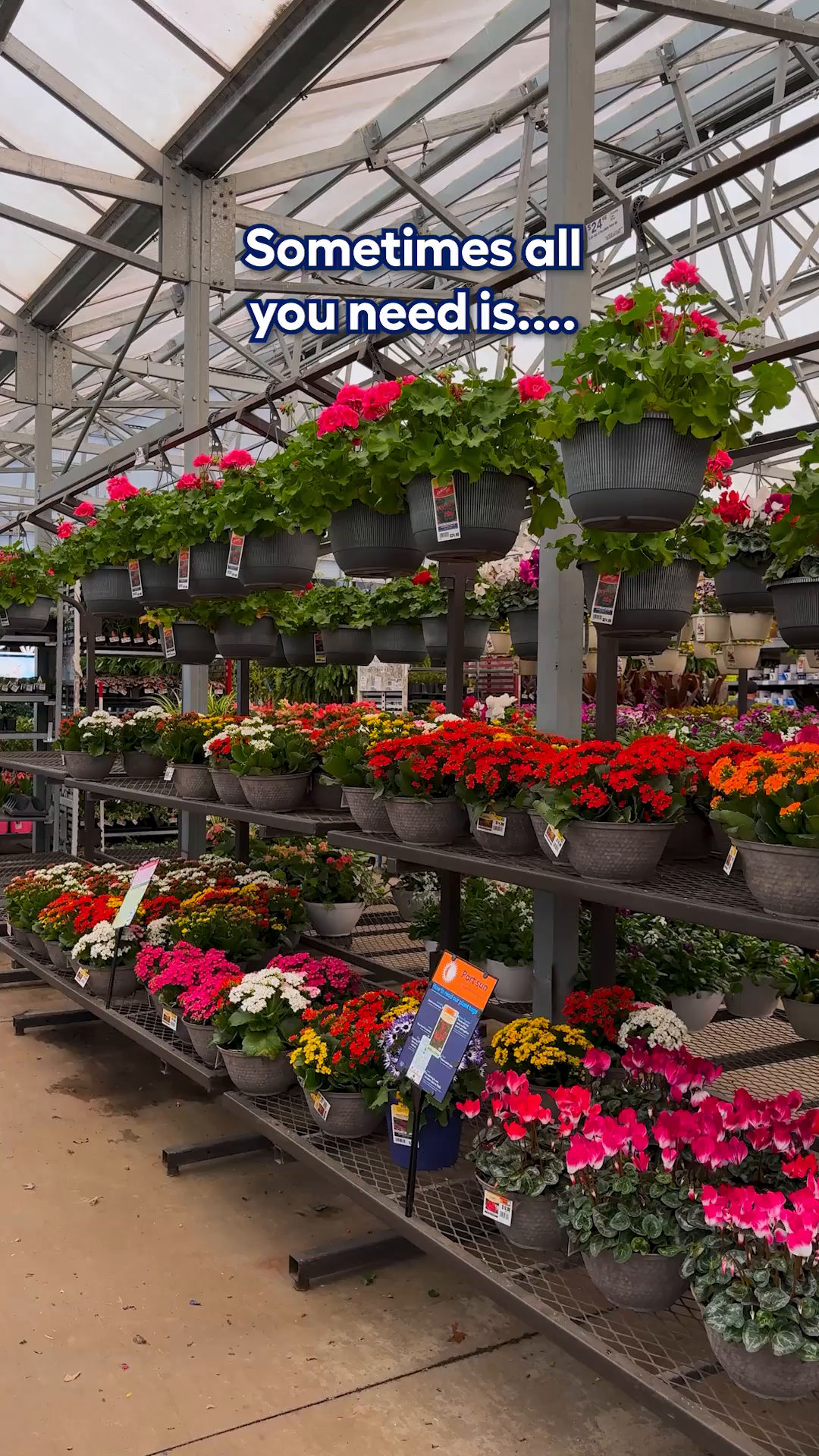 Video post by @lowes on Facebook