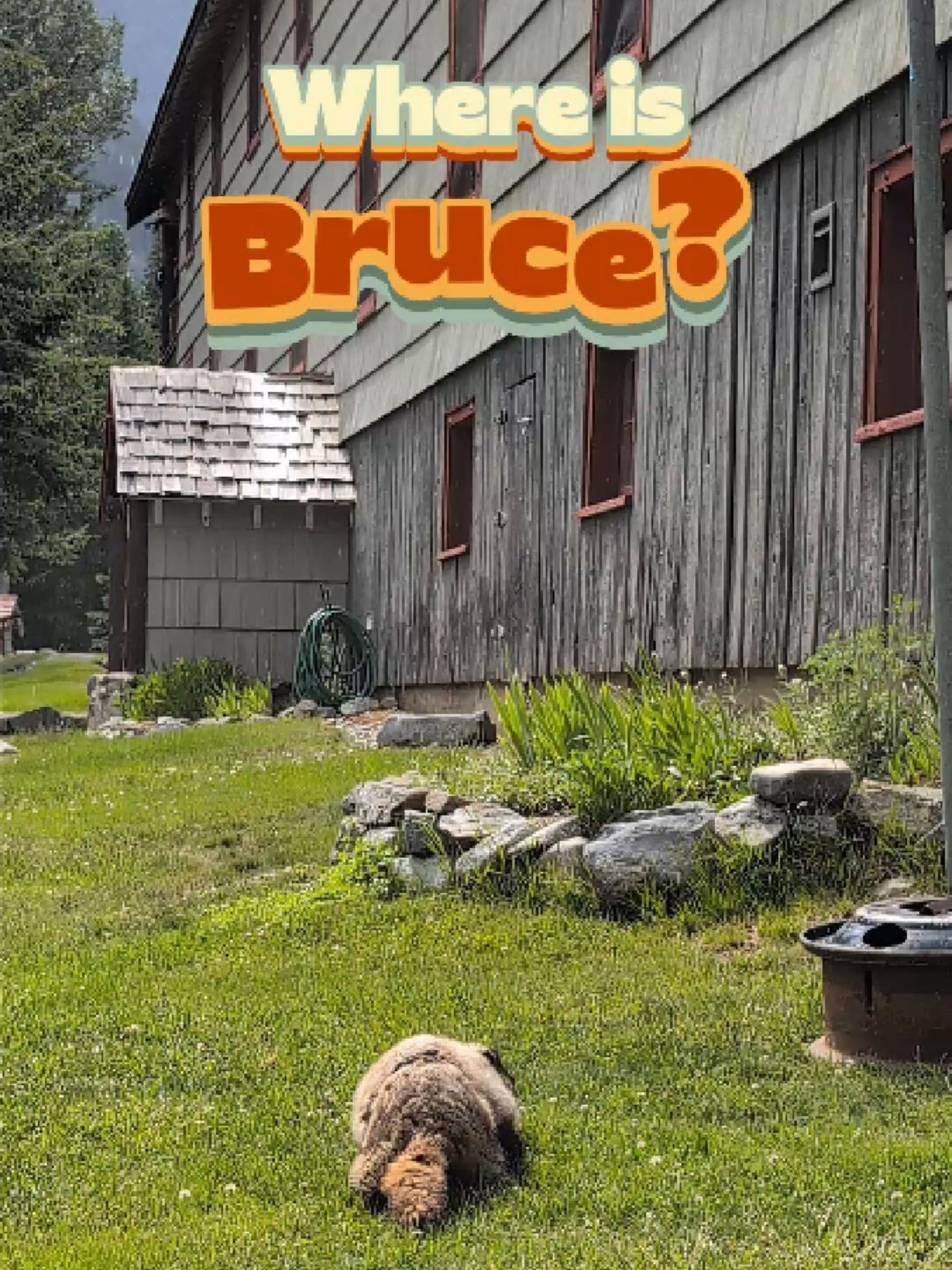 Video post by @breyeschow on TikTok