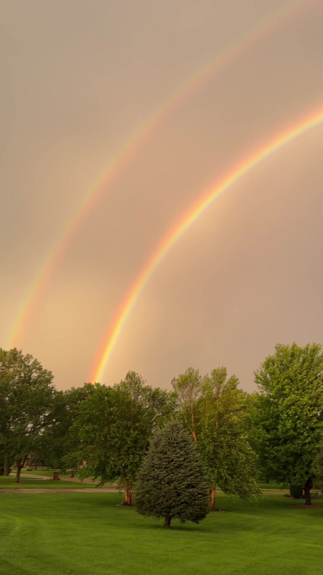 Video post by @page.elizabeth on TikTok