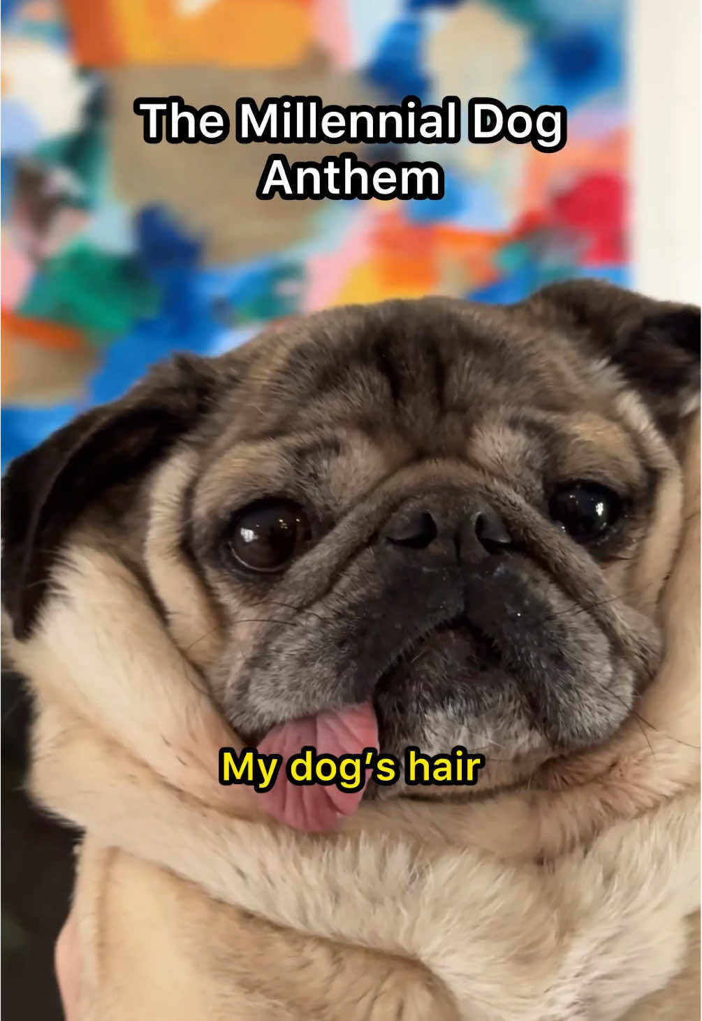 Video post by @dougthepug on TikTok