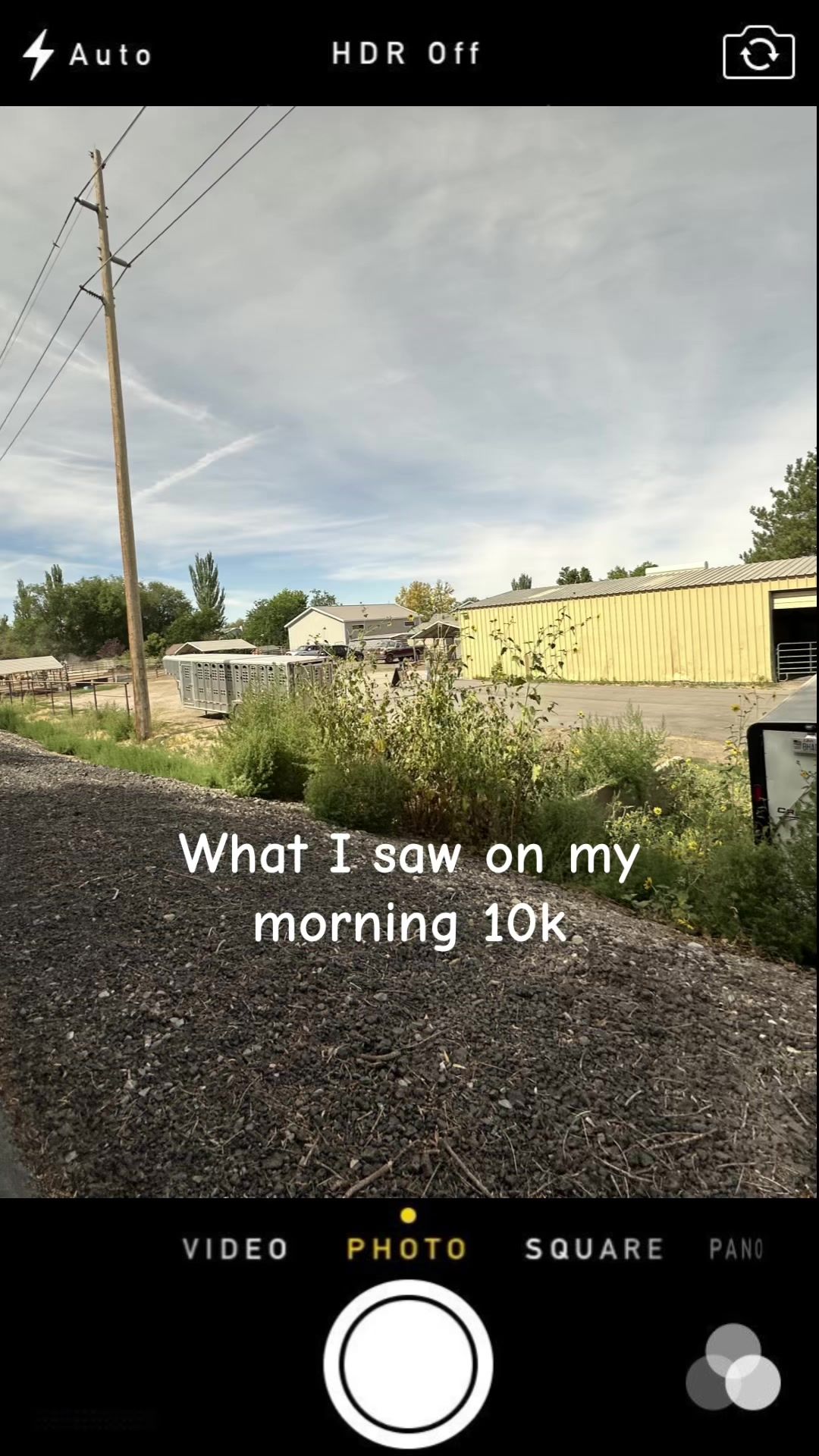 Video post by @reelkreative on TikTok