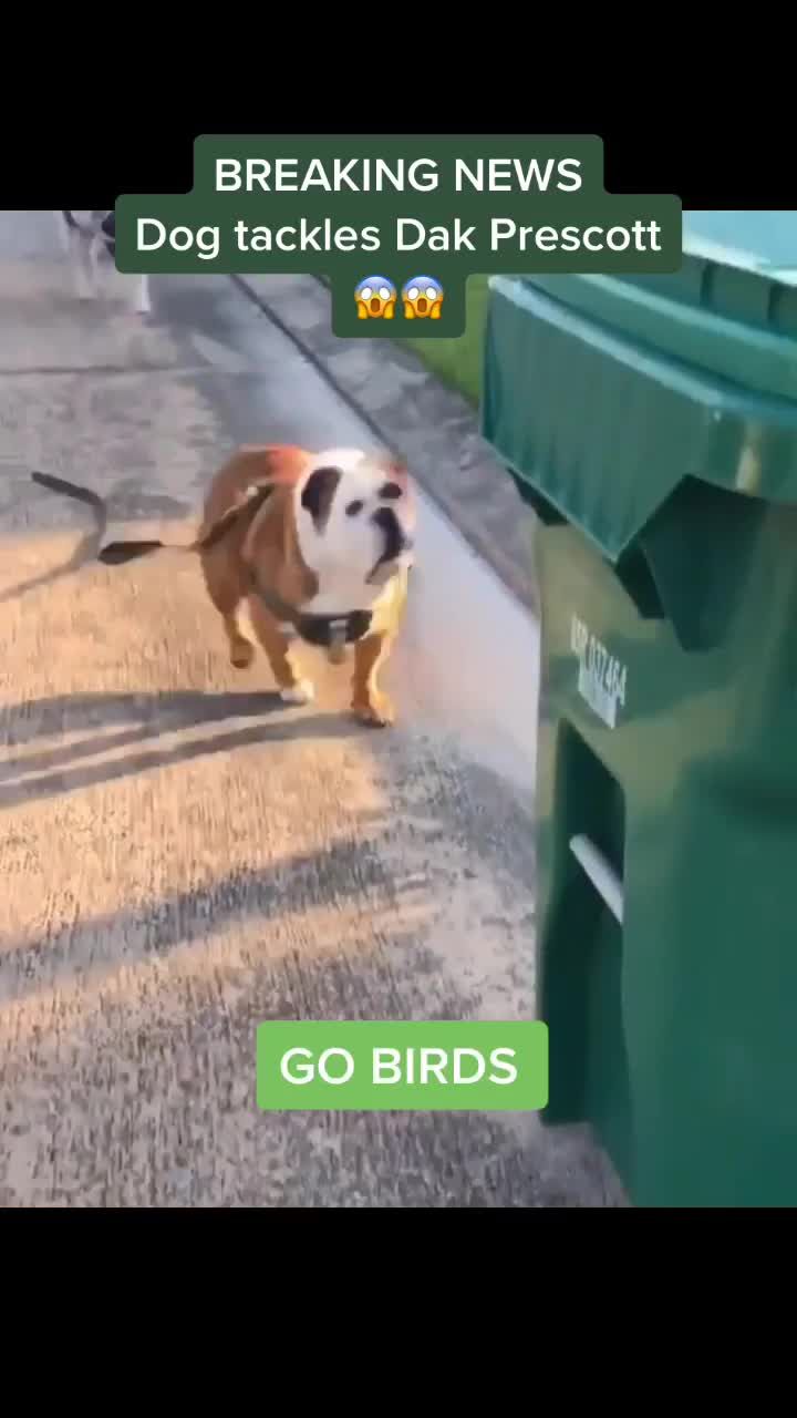 Video post by @phandomphilly on TikTok
