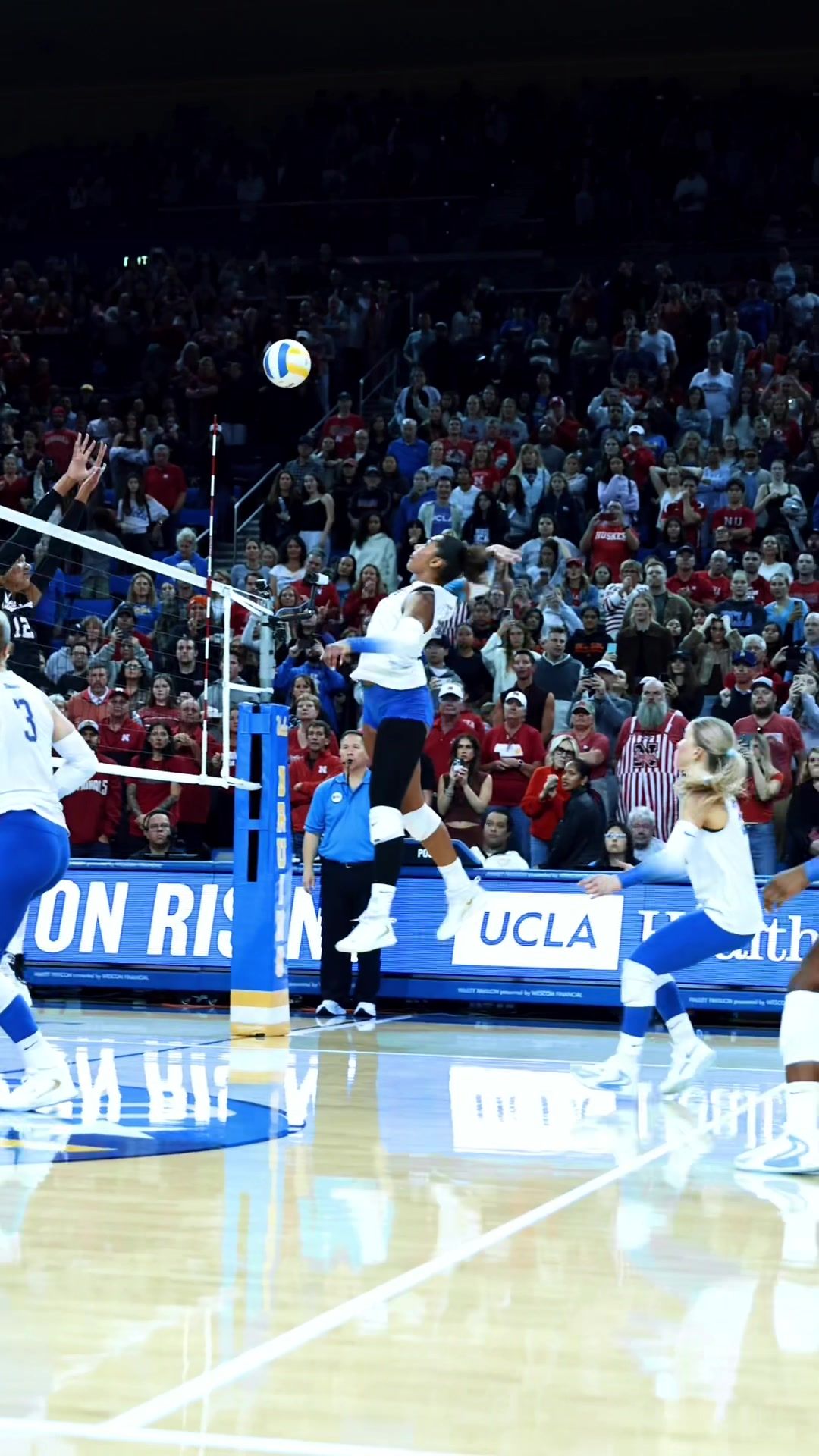 Video post by @hykchora on TikTok