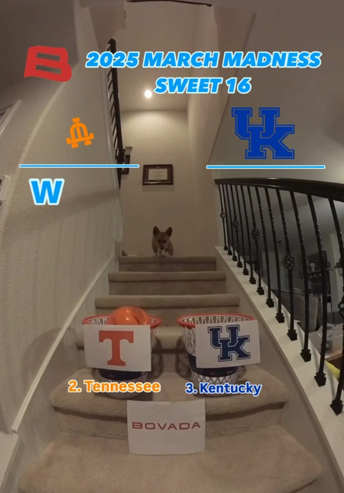 Video post by @aircorg on TikTok