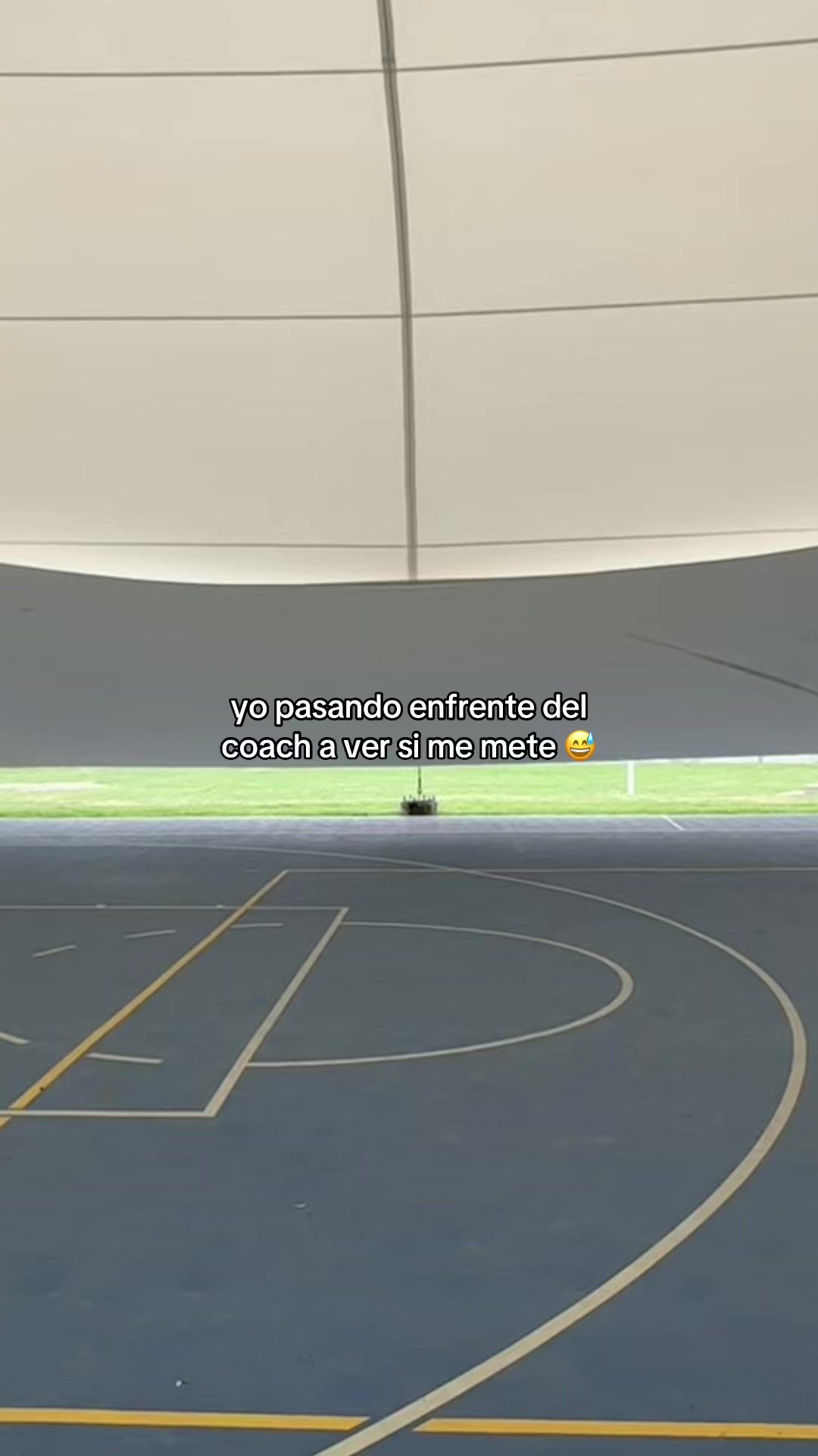 Video post by @borregostec on TikTok