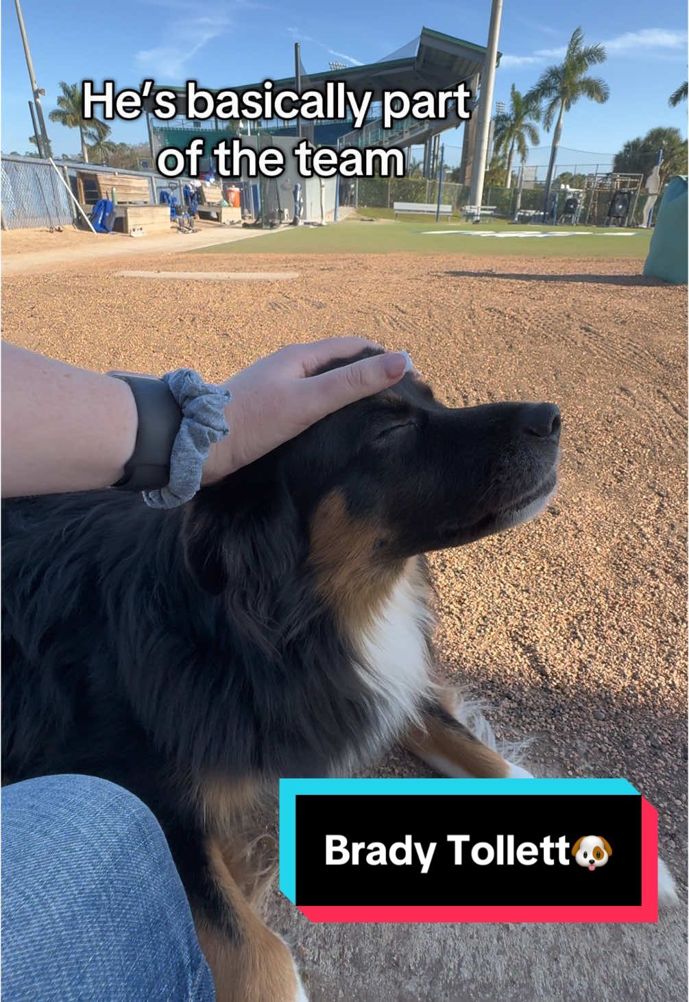 Video post by @toritalkssports on TikTok