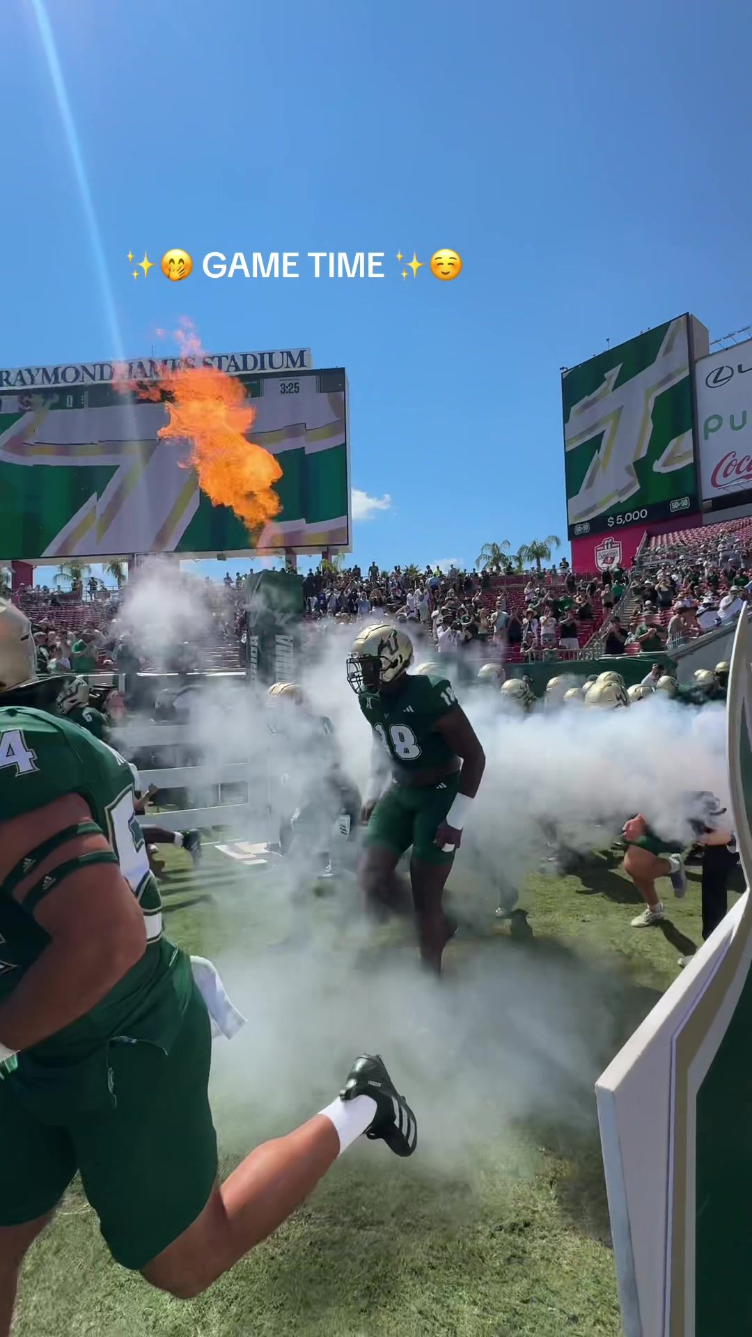 Video post by @sofieaspegren on TikTok