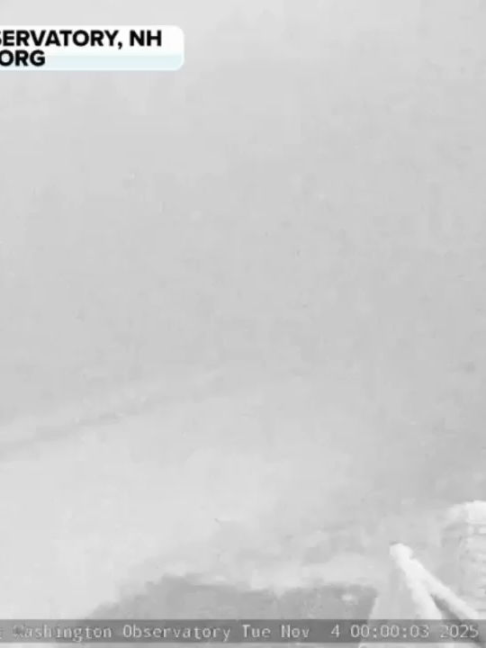 Video post by @foxweather on TikTok