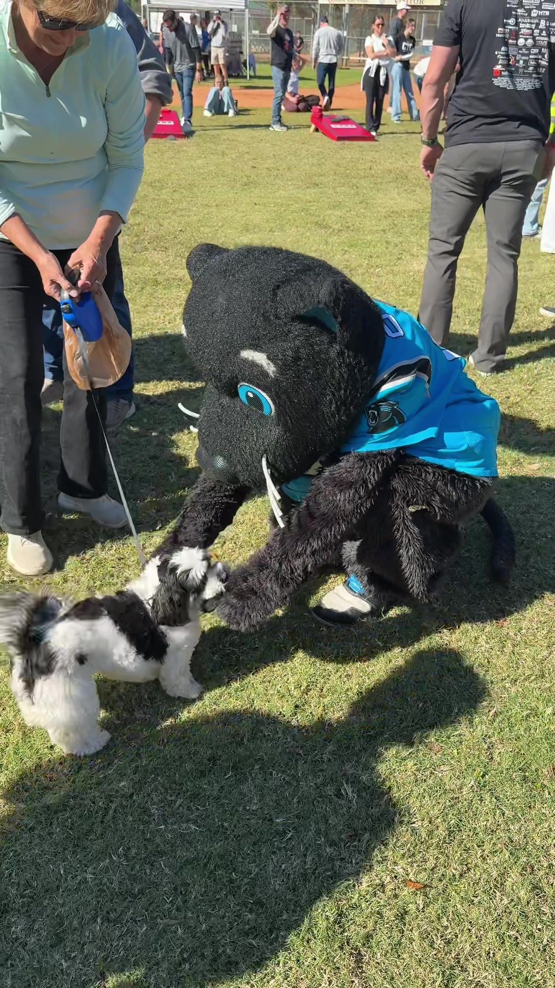 Video post by @sirpurr on TikTok