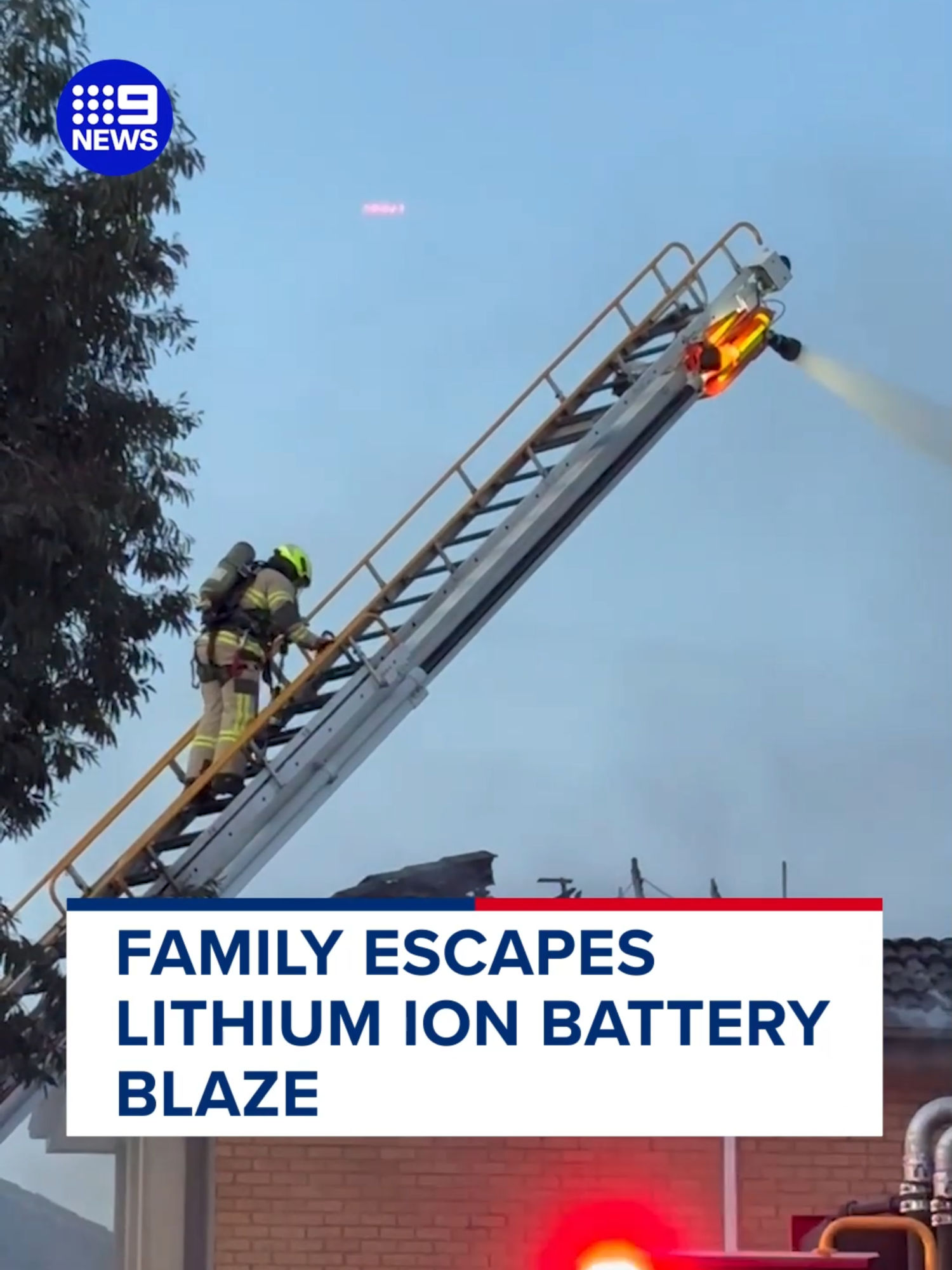 Video post by @9newsmelbourne on TikTok