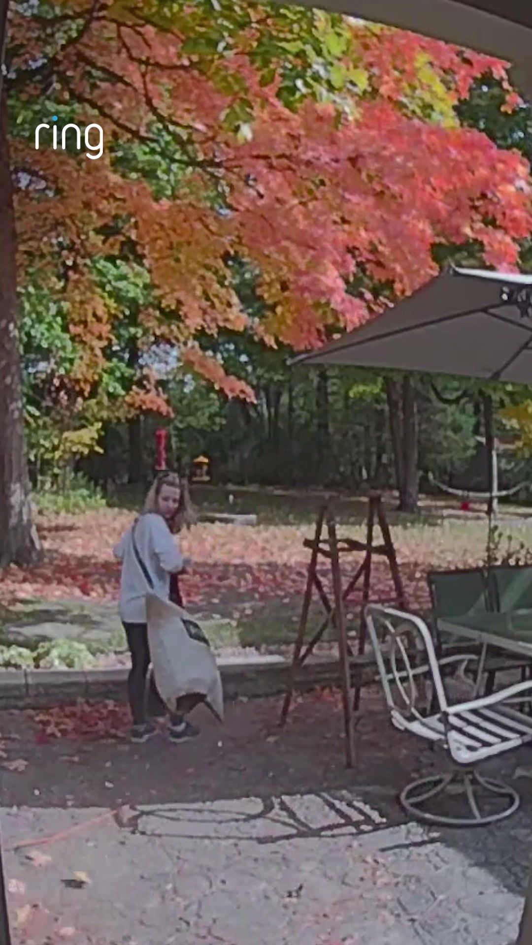 Video post by @ring on TikTok