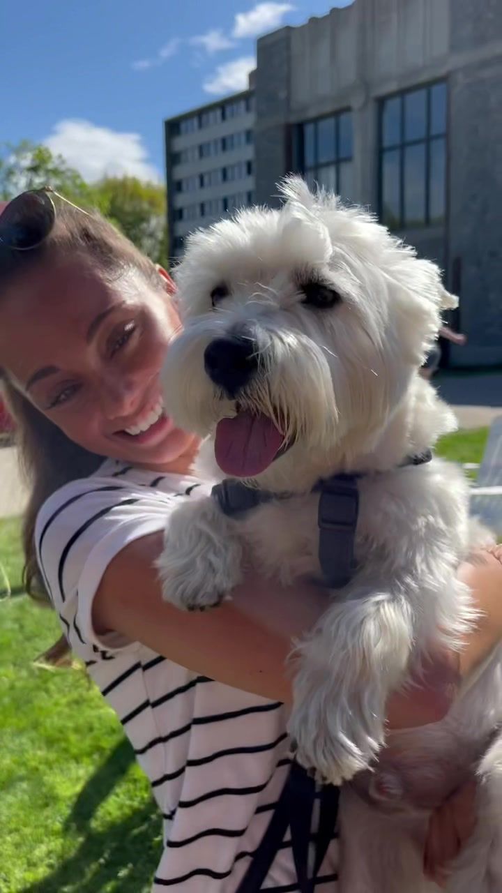 Video post by @marist on TikTok