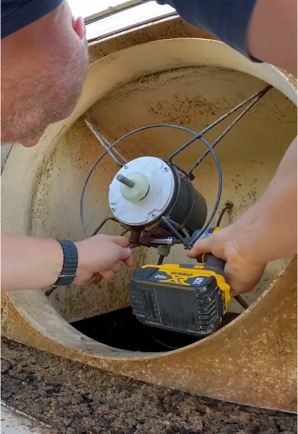 Video post by @thislldofarm on TikTok