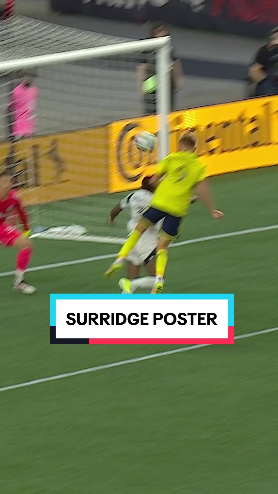 Video post by @mls on TikTok