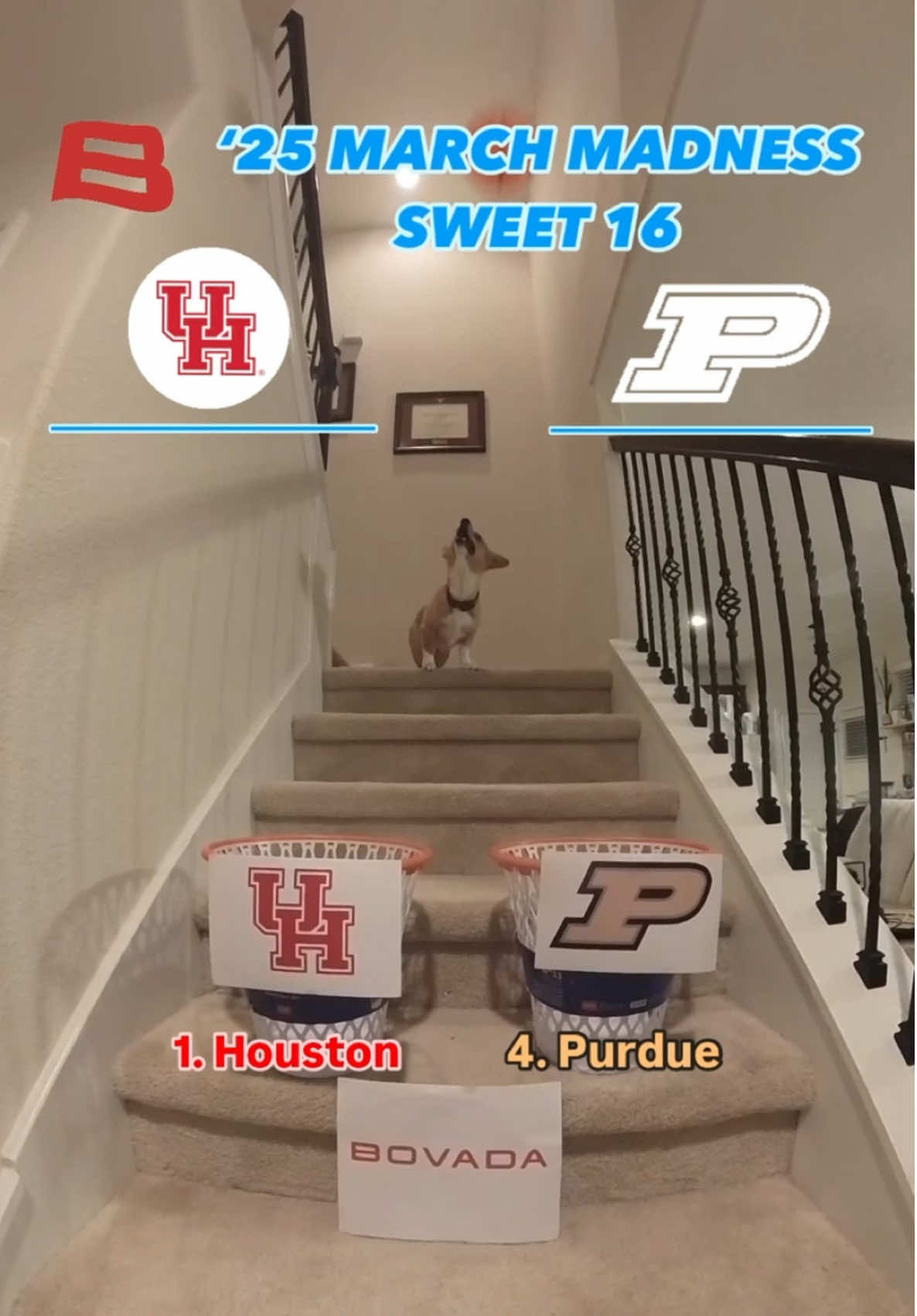 Video post by @aircorg on TikTok