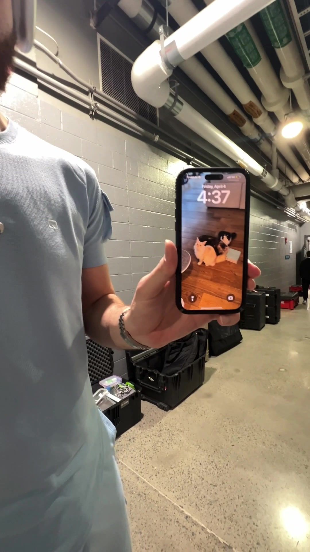 Video post by @hornets on TikTok