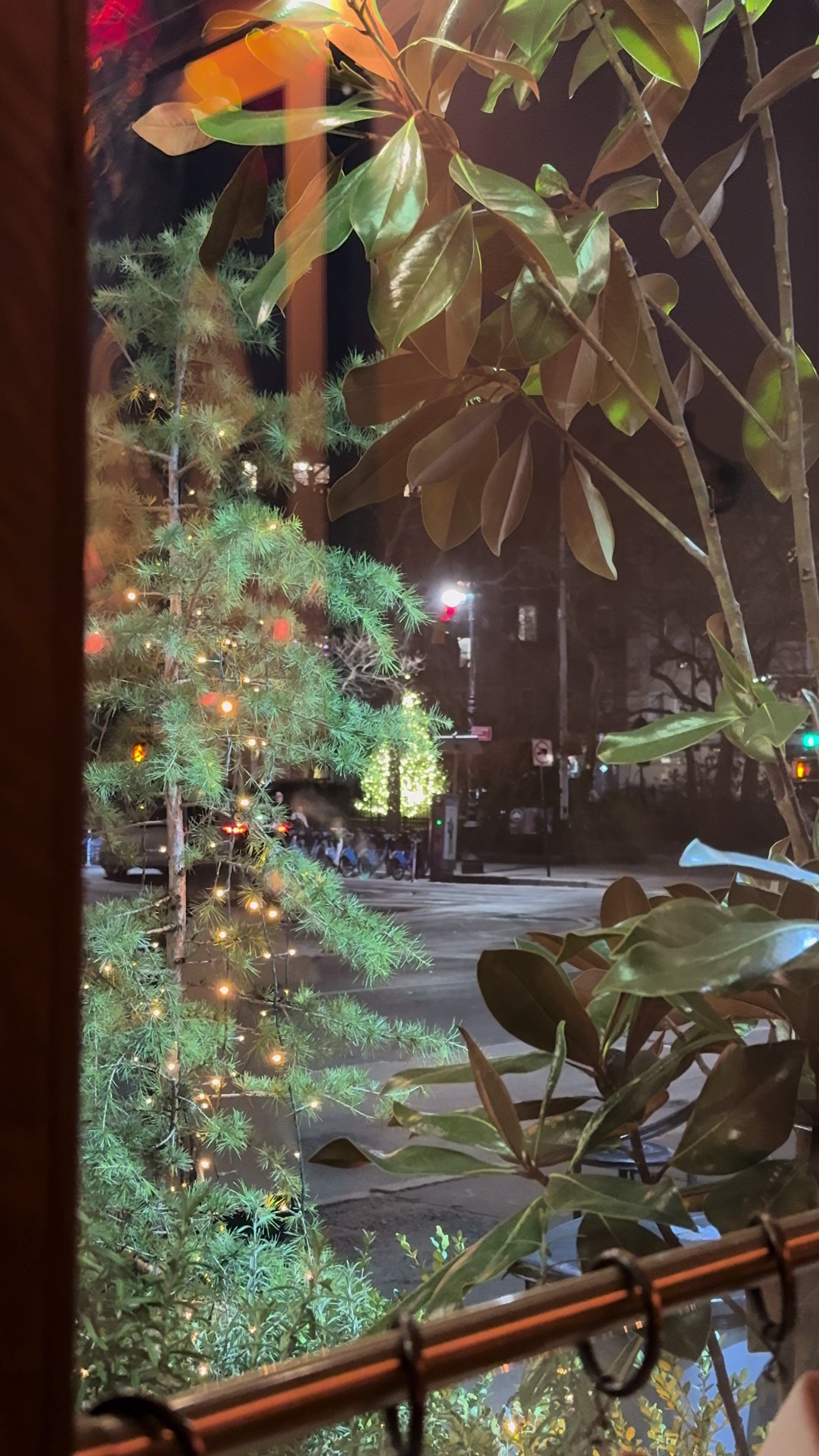 Video post by @strollerinthecity on TikTok