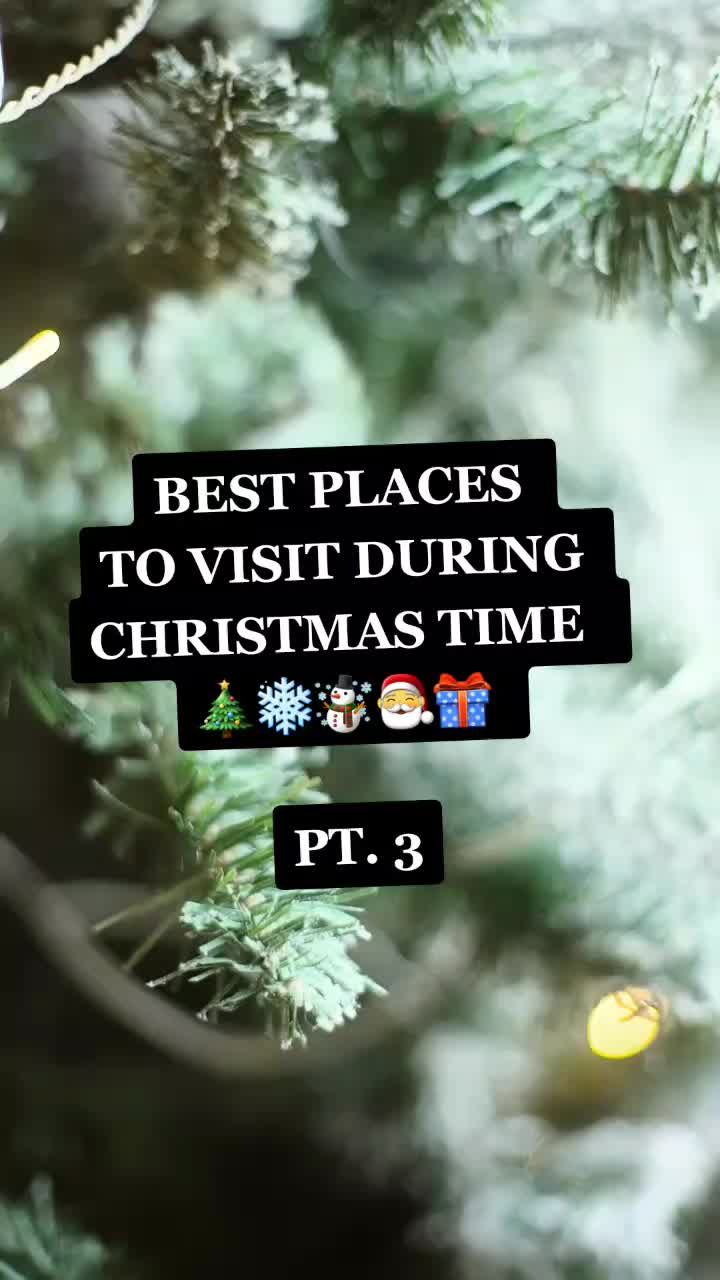 Video post by @xmas.vibes.365 on TikTok