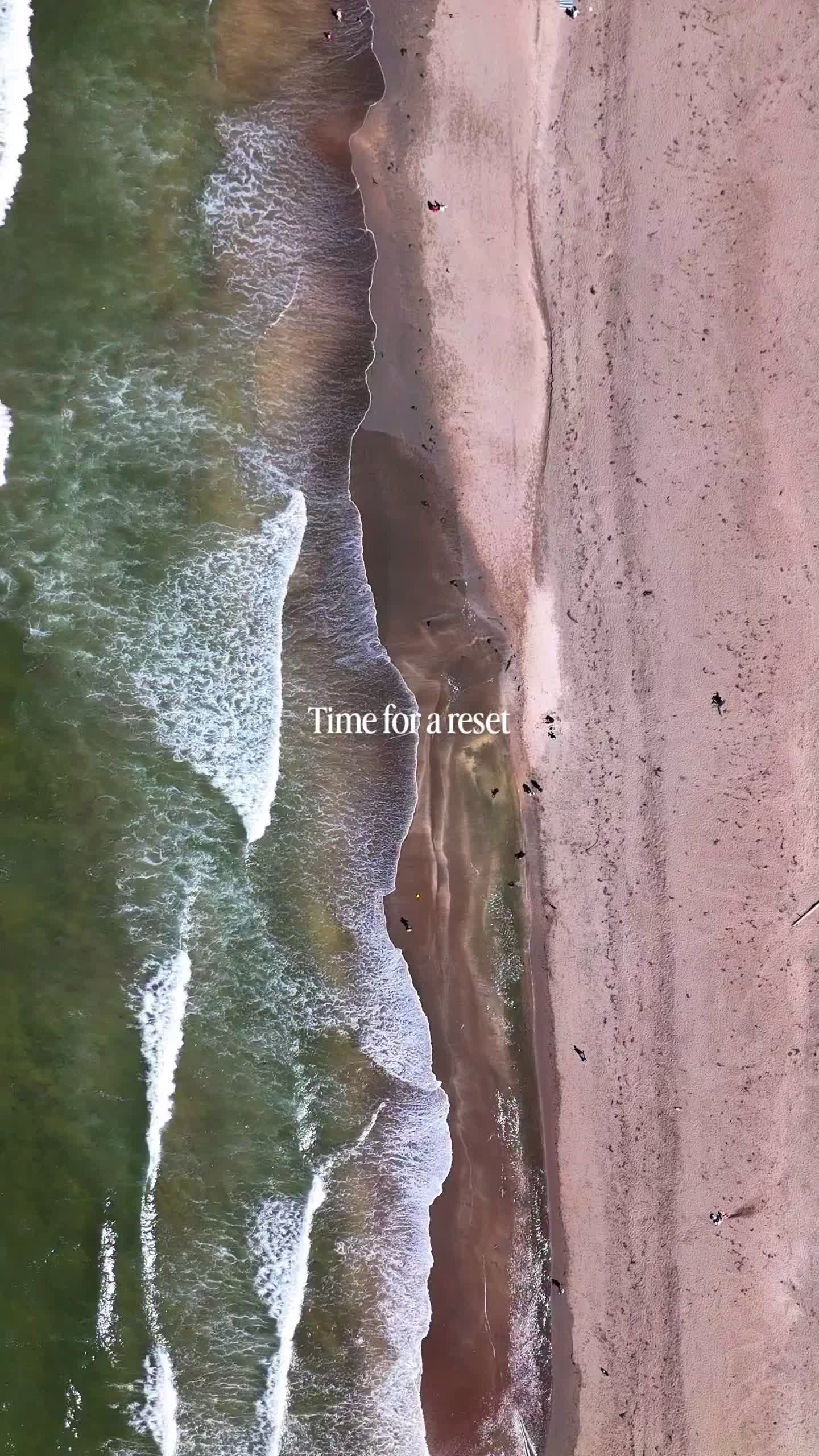 Video post by @dillonbeachresort on TikTok