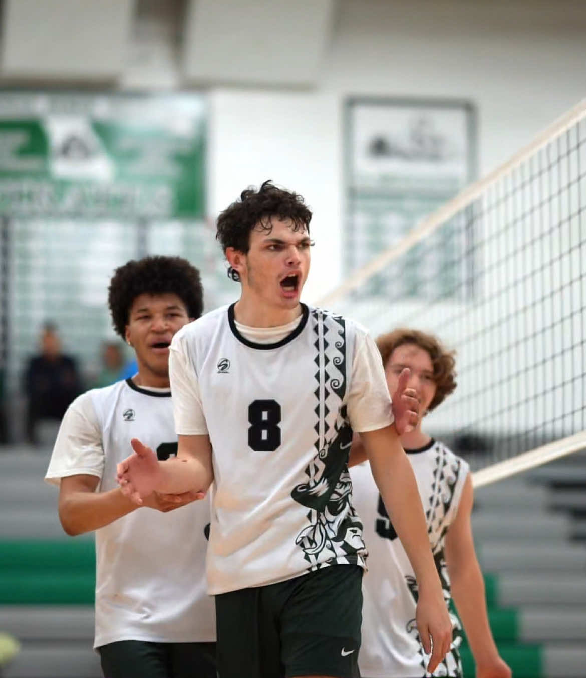 Video post by @ad7.collections on TikTok