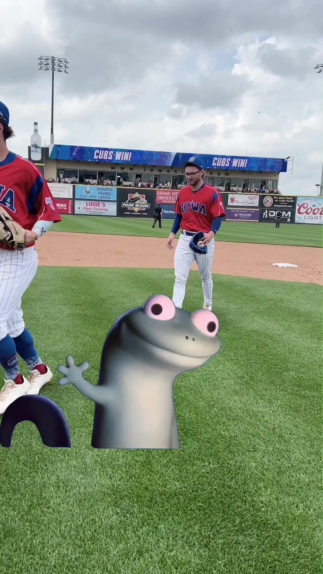 Video post by @iowa.cubs on TikTok