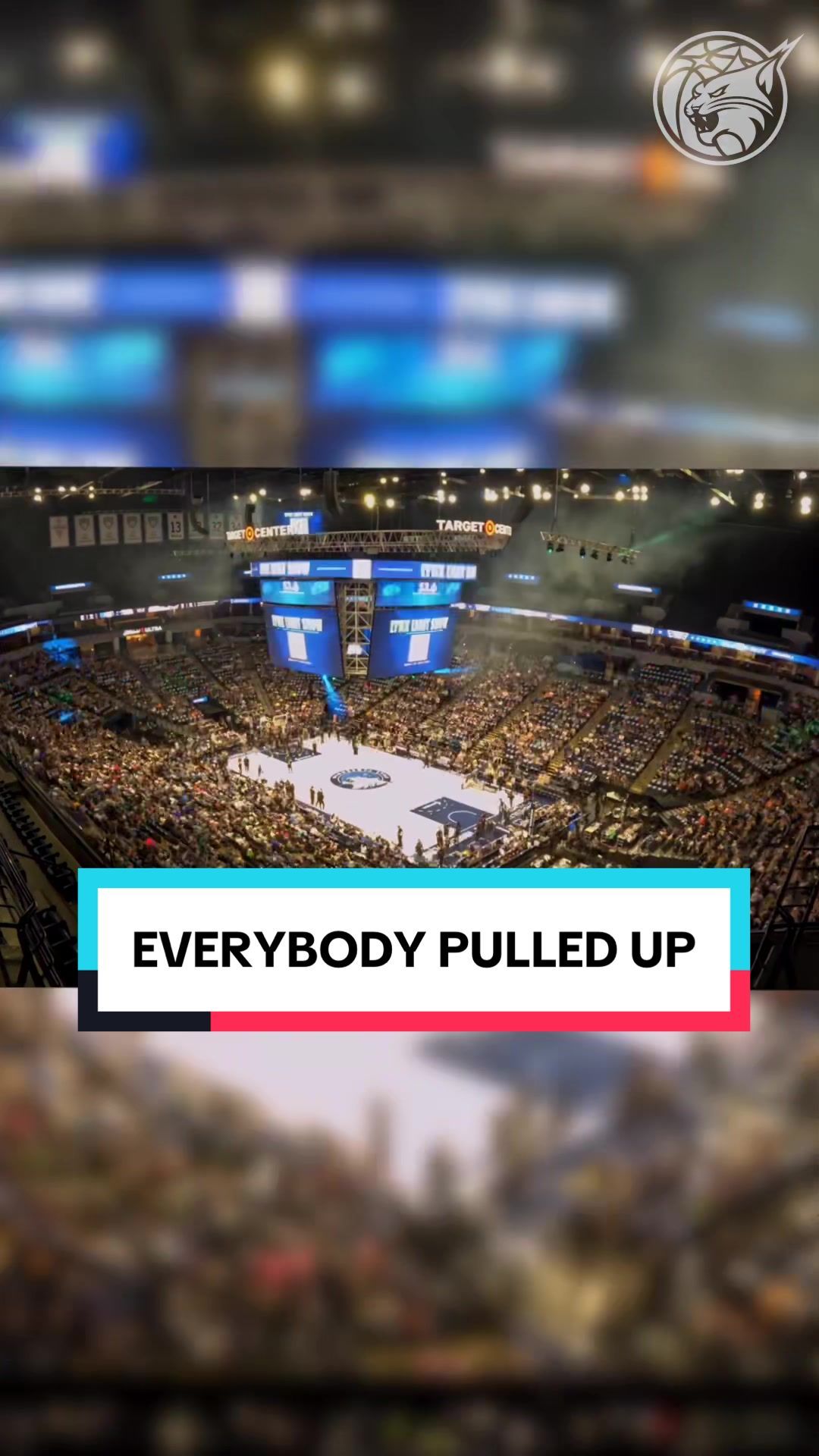 Video post by @minnesotalynx on TikTok