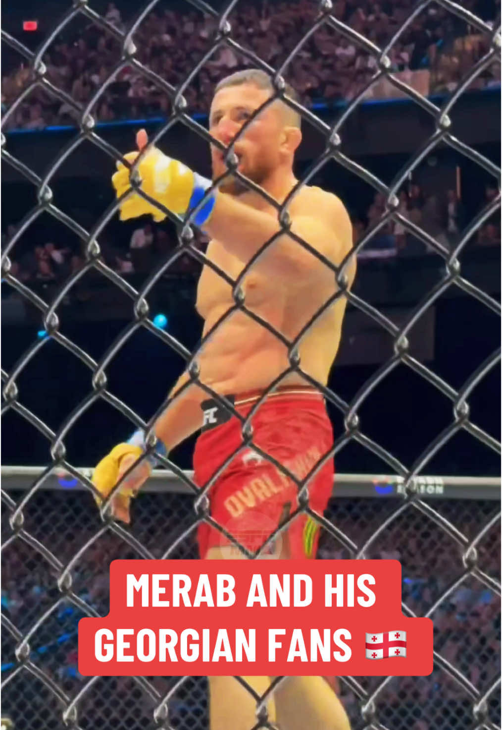 Video post by @espnmma on TikTok