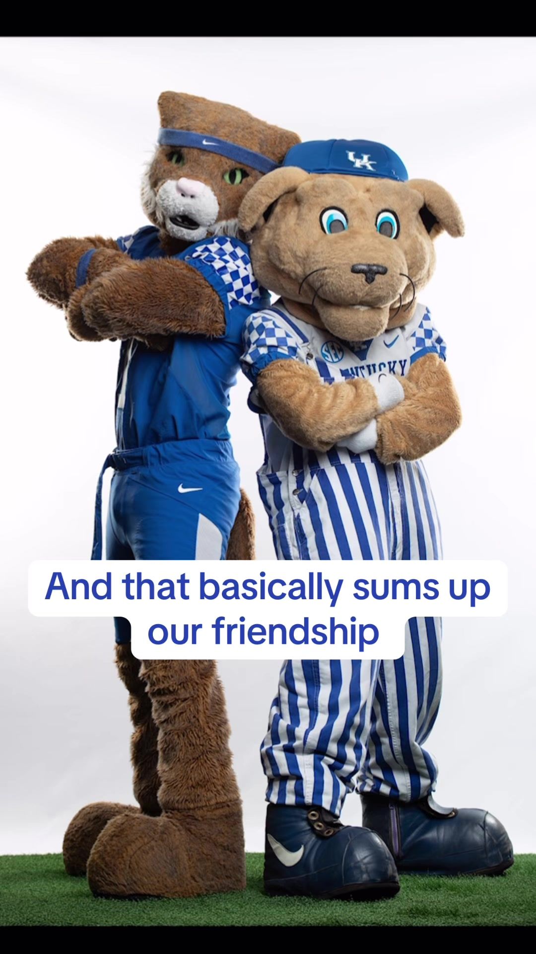 Video post by @universityofky on TikTok