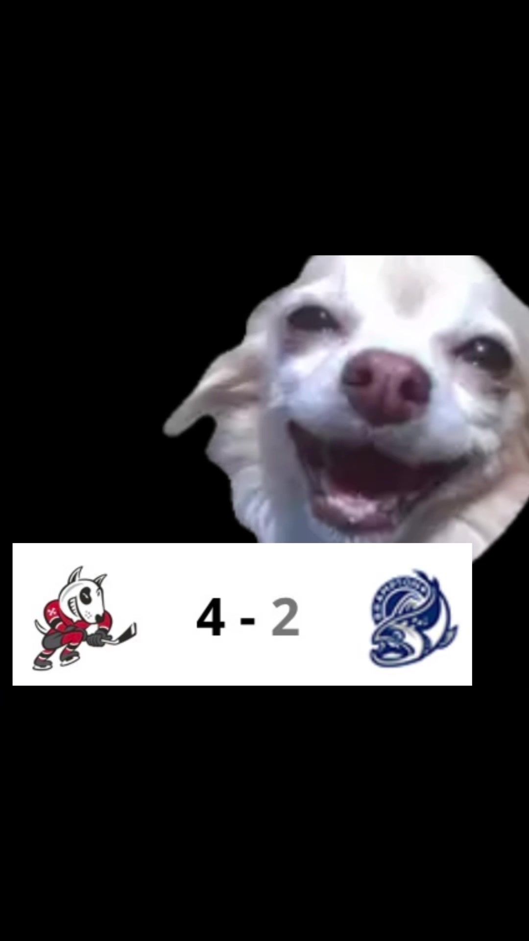 Video post by @ohlicedogs on TikTok