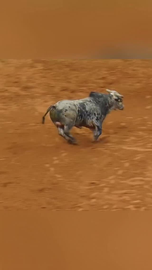 Video post by @sarodeo on Facebook