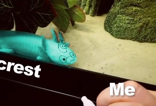 Video post by @beastcoastgg on Facebook