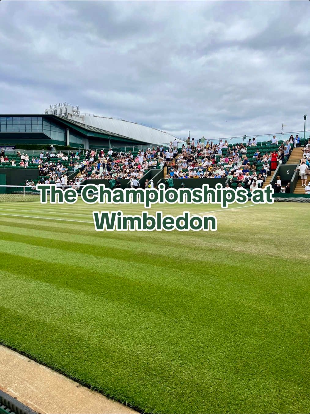 Video post by @adventuresinsweets on TikTok